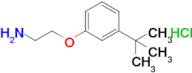 1-(2-Aminoethoxy)-3-tert-butylbenzene hydrochloride