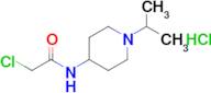 2-Chloro-N-[1-(propan-2-yl)piperidin-4-yl]acetamide hydrochloride