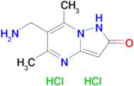 6-(Aminomethyl)-5,7-dimethyl-1h,2h-pyrazolo[1,5-a]pyrimidin-2-one dihydrochloride