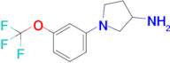 1-[3-(trifluoromethoxy)phenyl]pyrrolidin-3-amine