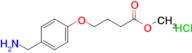 Methyl 4-[4-(aminomethyl)phenoxy]butanoate hydrochloride