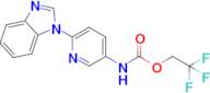 2,2,2-Trifluoroethyl n-[6-(1h-1,3-benzodiazol-1-yl)pyridin-3-yl]carbamate