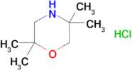 2,2,5,5-Tetramethylmorpholine hydrochloride