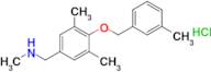 ({3,5-dimethyl-4-[(3-methylphenyl)methoxy]phenyl}methyl)(methyl)amine hydrochloride