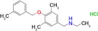 ({3,5-dimethyl-4-[(3-methylphenyl)methoxy]phenyl}methyl)(ethyl)amine hydrochloride