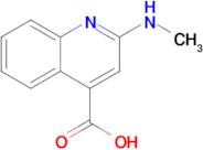 2-(Methylamino)quinoline-4-carboxylic acid