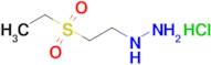 [2-(ethanesulfonyl)ethyl]hydrazine hydrochloride