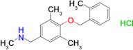 ({3,5-dimethyl-4-[(2-methylphenyl)methoxy]phenyl}methyl)(methyl)amine hydrochloride