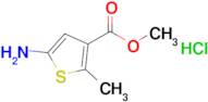 Methyl 5-amino-2-methylthiophene-3-carboxylate hydrochloride