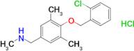 ({4-[(2-chlorophenyl)methoxy]-3,5-dimethylphenyl}methyl)(methyl)amine hydrochloride