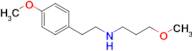 [2-(4-methoxyphenyl)ethyl](3-methoxypropyl)amine