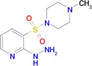1-[(2-hydrazinylpyridin-3-yl)sulfonyl]-4-methylpiperazine