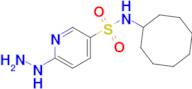 n-Cyclooctyl-6-hydrazinylpyridine-3-sulfonamide