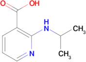 2-[(propan-2-yl)amino]pyridine-3-carboxylic acid