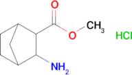 Methyl 3-aminobicyclo[2.2.1]heptane-2-carboxylate hydrochloride