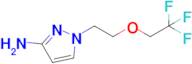 1-[2-(2,2,2-trifluoroethoxy)ethyl]-1h-pyrazol-3-amine