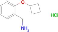 (2-Cyclobutoxyphenyl)methanamine hydrochloride