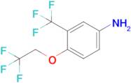 4-(2,2,2-Trifluoroethoxy)-3-(trifluoromethyl)aniline