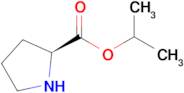 Propan-2-yl (2s)-pyrrolidine-2-carboxylate