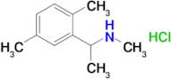 [1-(2,5-dimethylphenyl)ethyl](methyl)amine hydrochloride