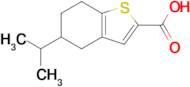 5-(Propan-2-yl)-4,5,6,7-tetrahydro-1-benzothiophene-2-carboxylic acid