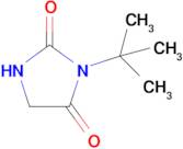 3-Tert-butylimidazolidine-2,4-dione