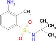 3-Amino-N-tert-butyl-2-methylbenzene-1-sulfonamide