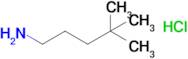 4,4-Dimethylpentan-1-amine hydrochloride