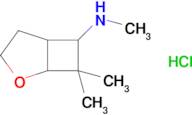 n,7,7-Trimethyl-2-oxabicyclo[3.2.0]heptan-6-amine hydrochloride