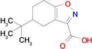 5-Tert-butyl-4,5,6,7-tetrahydro-1,2-benzoxazole-3-carboxylic acid