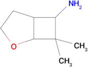 7,7-Dimethyl-2-oxabicyclo[3.2.0]heptan-6-amine