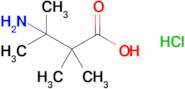 3-Amino-2,2,3-trimethylbutanoic acid hydrochloride