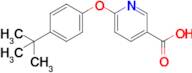 6-(4-Tert-butylphenoxy)pyridine-3-carboxylic acid