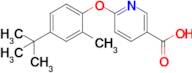 6-(4-Tert-butyl-2-methylphenoxy)pyridine-3-carboxylic acid