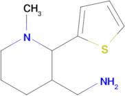 1-[1-methyl-2-(thiophen-2-yl)piperidin-3-yl]methanamine