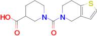 1-{4h,5h,6h,7h-thieno[3,2-c]pyridine-5-carbonyl}piperidine-3-carboxylic acid