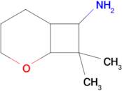 8,8-Dimethyl-2-oxabicyclo[4.2.0]octan-7-amine