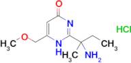 2-(2-aminobutan-2-yl)-6-(methoxymethyl)-1,4-dihydropyrimidin-4-one hydrochloride