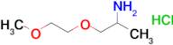 1-(2-Aminopropoxy)-2-methoxyethane hydrochloride