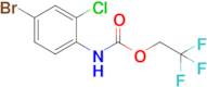 2,2,2-Trifluoroethyl n-(4-bromo-2-chlorophenyl)carbamate