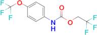 2,2,2-Trifluoroethyl n-[4-(trifluoromethoxy)phenyl]carbamate