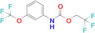 2,2,2-Trifluoroethyl n-[3-(trifluoromethoxy)phenyl]carbamate