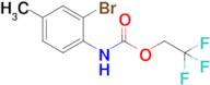 2,2,2-Trifluoroethyl n-(2-bromo-4-methylphenyl)carbamate