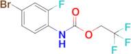 2,2,2-Trifluoroethyl n-(4-bromo-2-fluorophenyl)carbamate