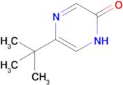 5-tert-butyl-1,2-dihydropyrazin-2-one