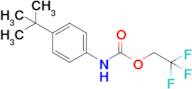 2,2,2-Trifluoroethyl n-(4-tert-butylphenyl)carbamate