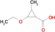 2-Ethoxy-3-methylcyclopropane-1-carboxylic acid