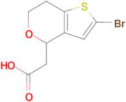 2-{2-bromo-4h,6h,7h-thieno[3,2-c]pyran-4-yl}acetic acid