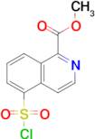 Methyl 5-(chlorosulfonyl)isoquinoline-1-carboxylate