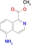 Methyl 5-aminoisoquinoline-1-carboxylate